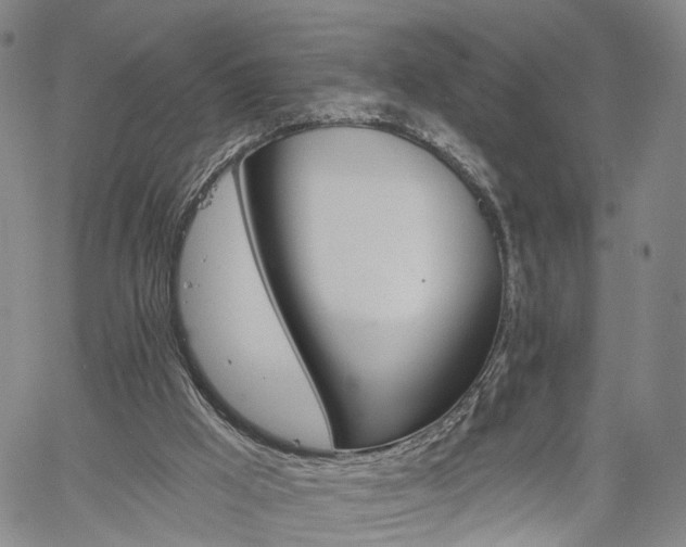 X0000061730009200512021027