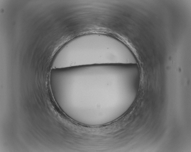 X0000061730010200512021027