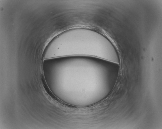 X0000061730011200512021027