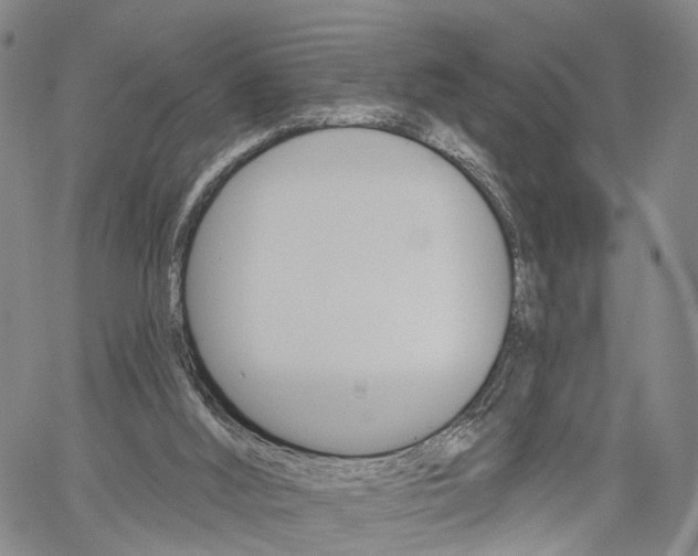 X0000061730012200512021027