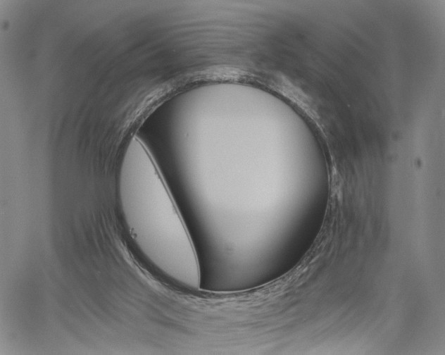 X0000061730013200512021027