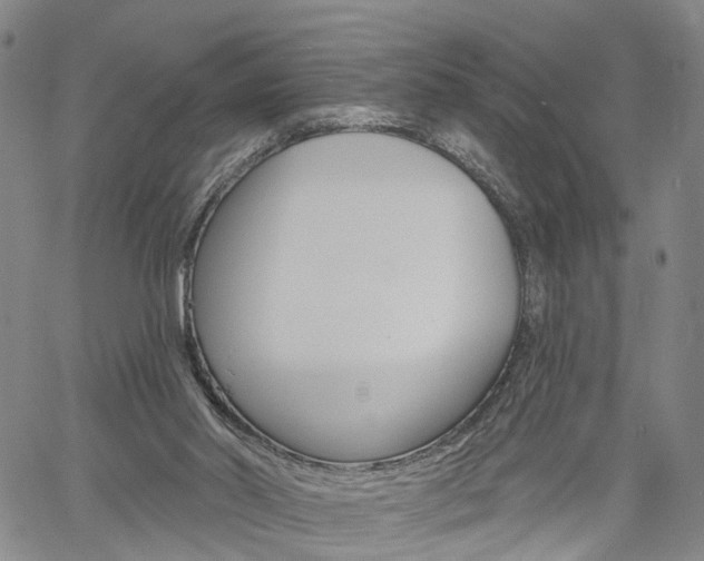 X0000061730014200512021027