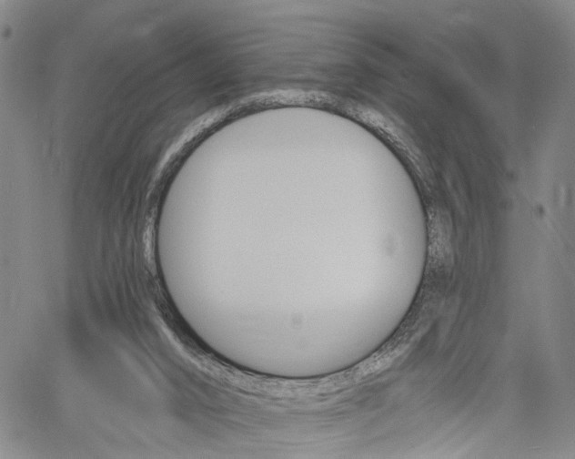 X0000061730016200512021027