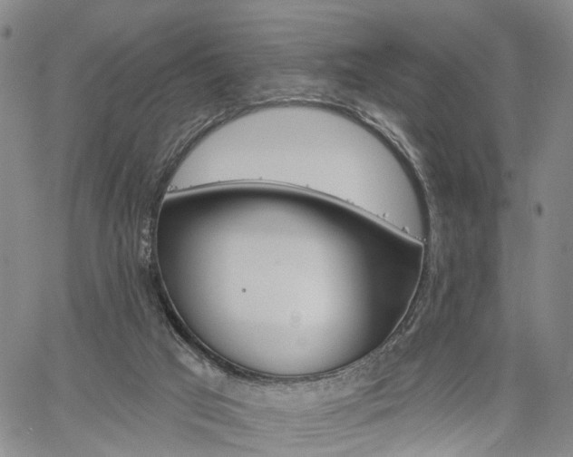 X0000061730017200512021027