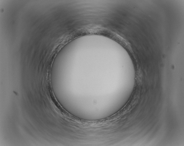 X0000061730018200512021027