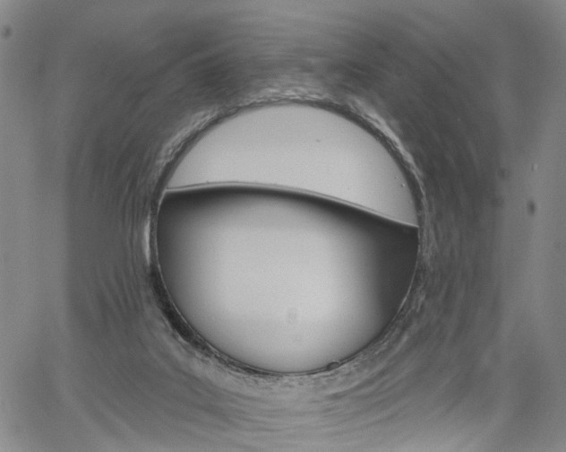 X0000061730019200512021027