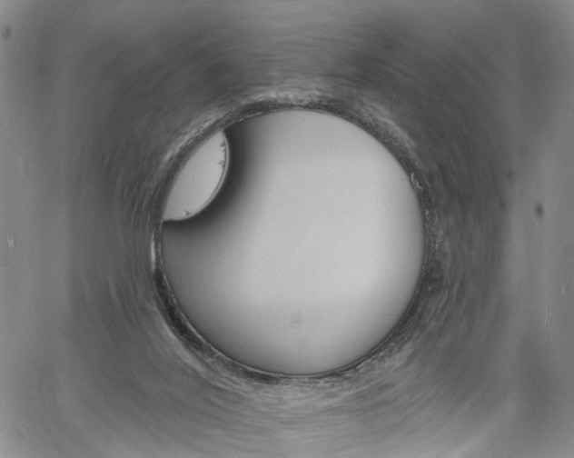 X0000061730020200512021027