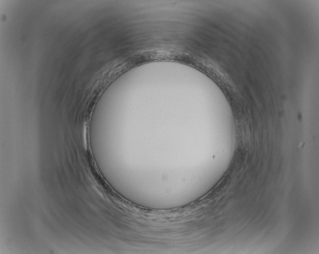 X0000061730022200512021027