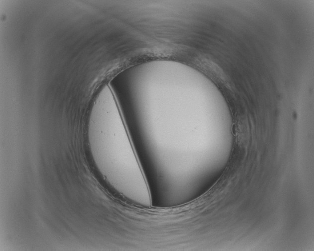 X0000061730023200512021027