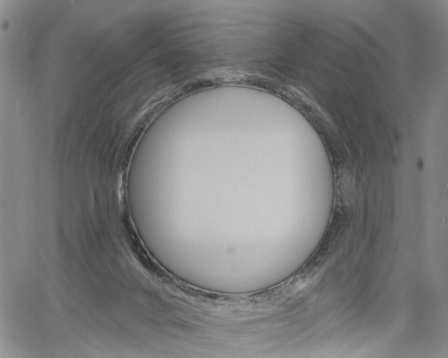 X0000061730024200512021027