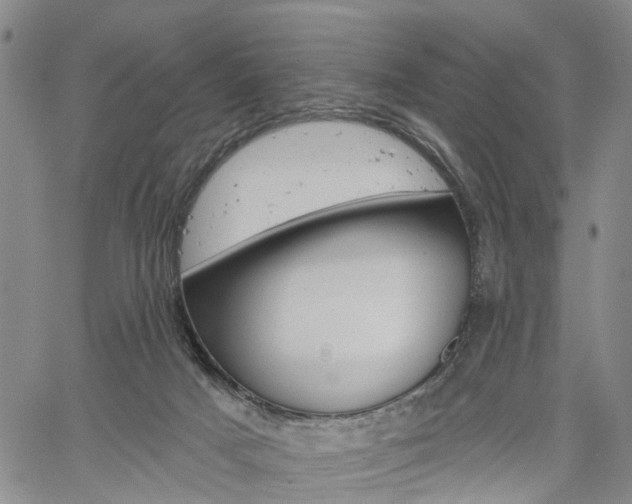 X0000061730025200512021027