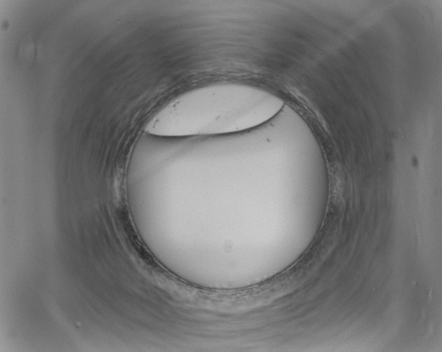 X0000061730026200512021027