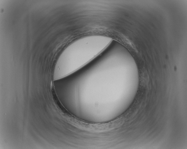 X0000061730027200512021027