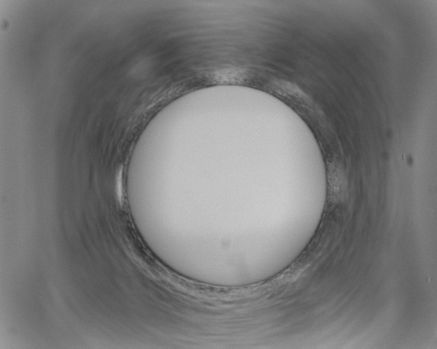 X0000061730028200512021027