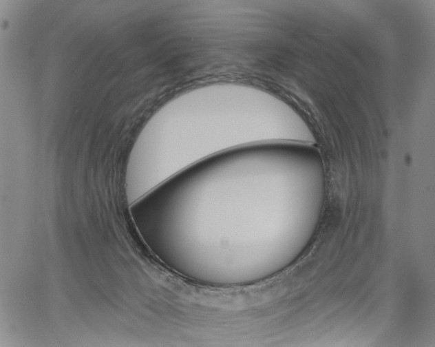 X0000061730029200512021027