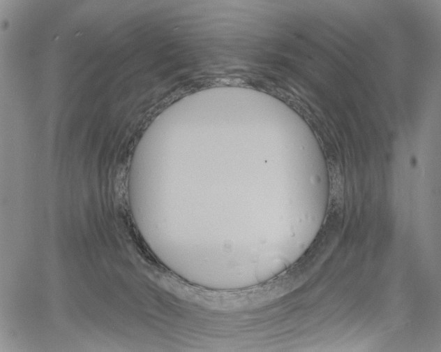 X0000061730030200512021027