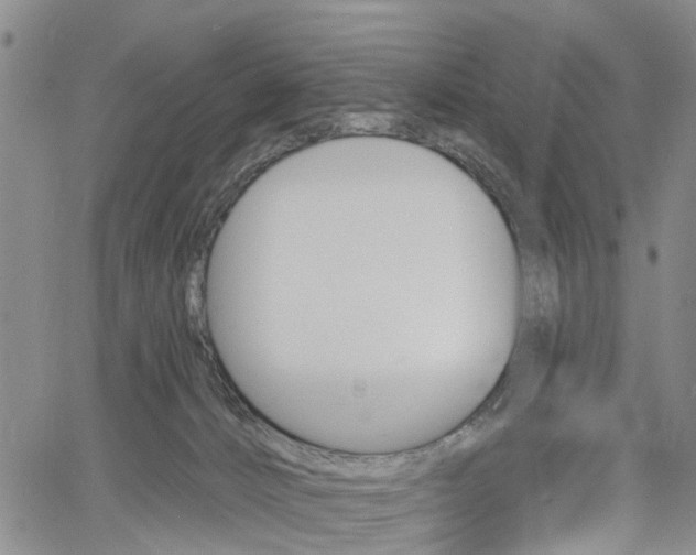 X0000061730032200512021027