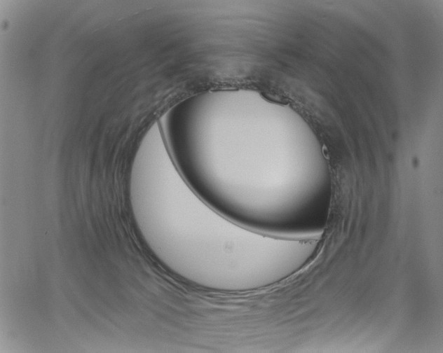 X0000061730033200512021027