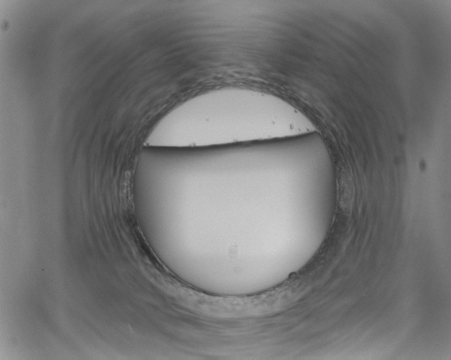 X0000061730034200512021027