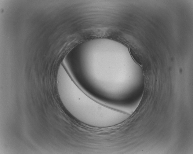 X0000061730035200512021027