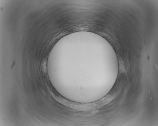 X0000061730036200512021027