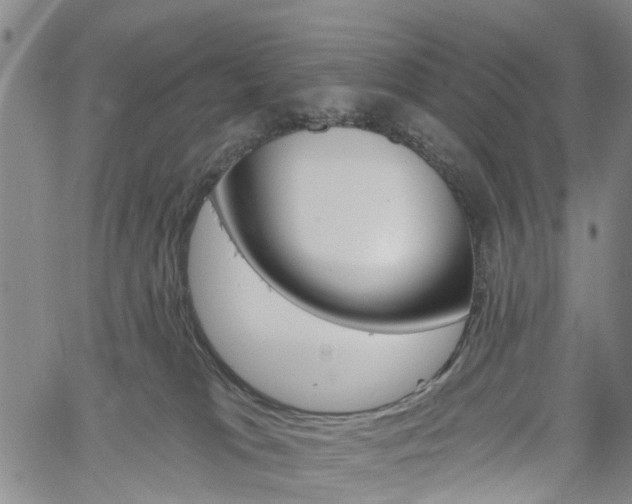 X0000061730037200512021027