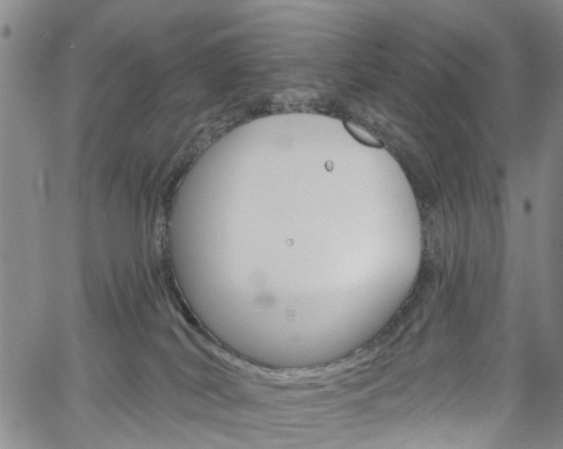 X0000061730038200512021027