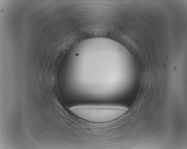 X0000061730039200512021027