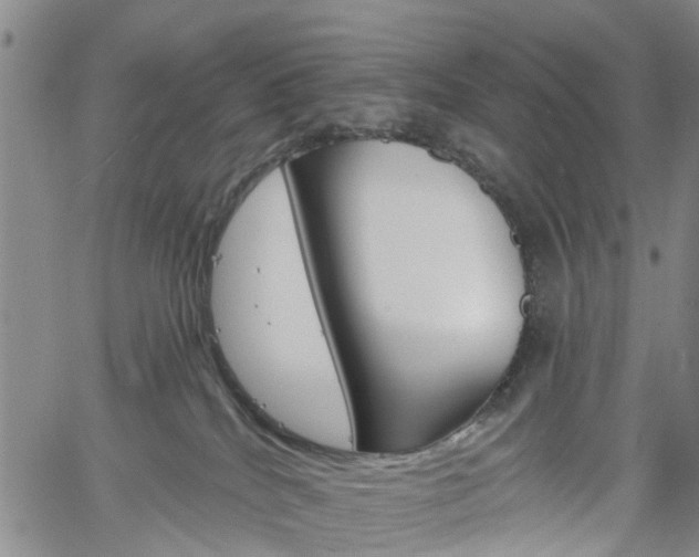 X0000061730040200512021027