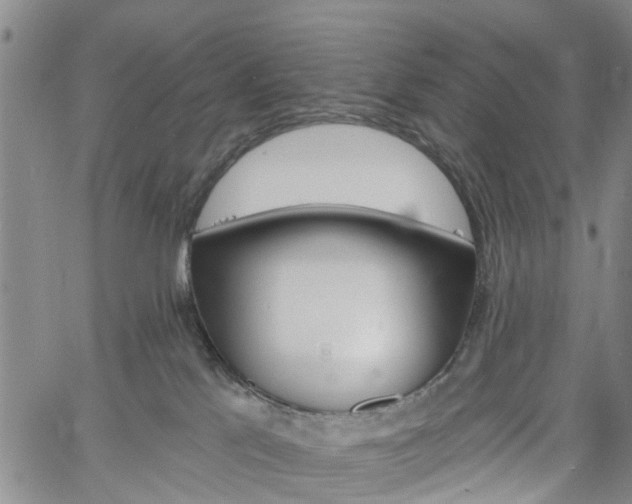 X0000061730041200512021027