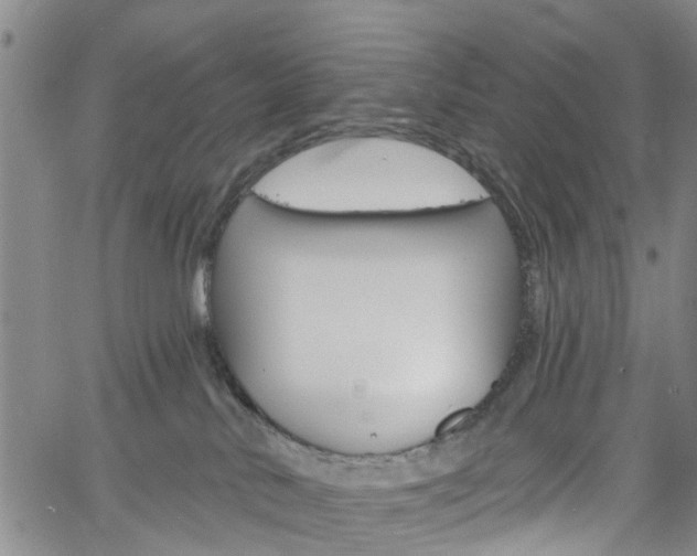 X0000061730042200512021027