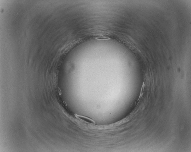 X0000061730043200512021027