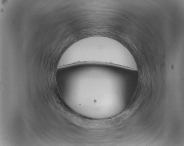 X0000061730044200512021027