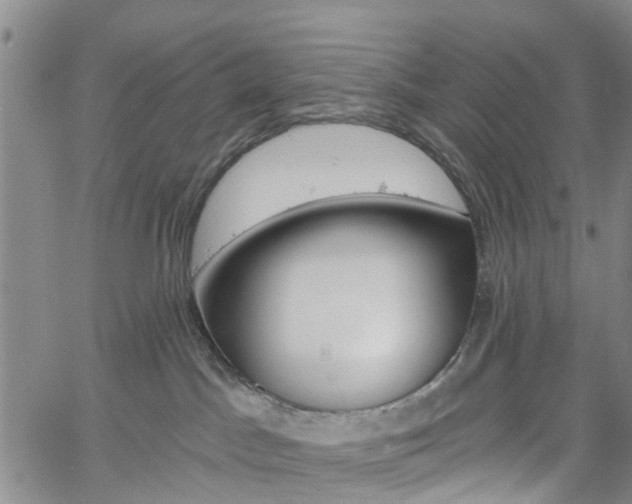 X0000061730045200512021027