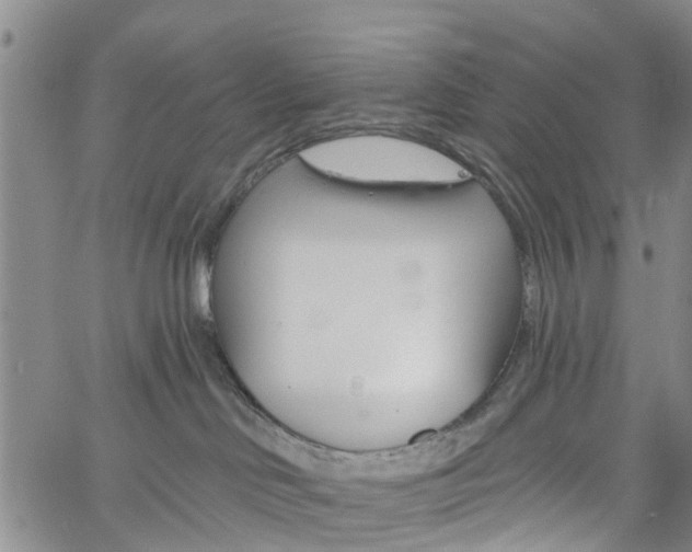 X0000061730046200512021027