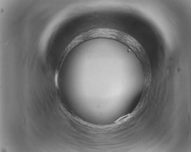 X0000061730047200512021027