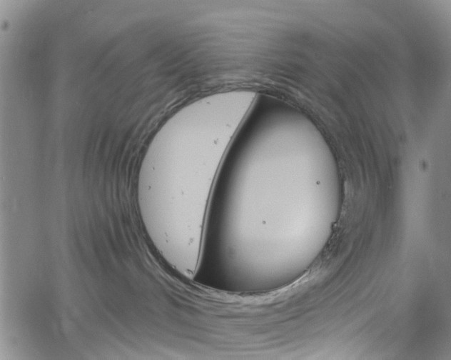 X0000061730048200512021027