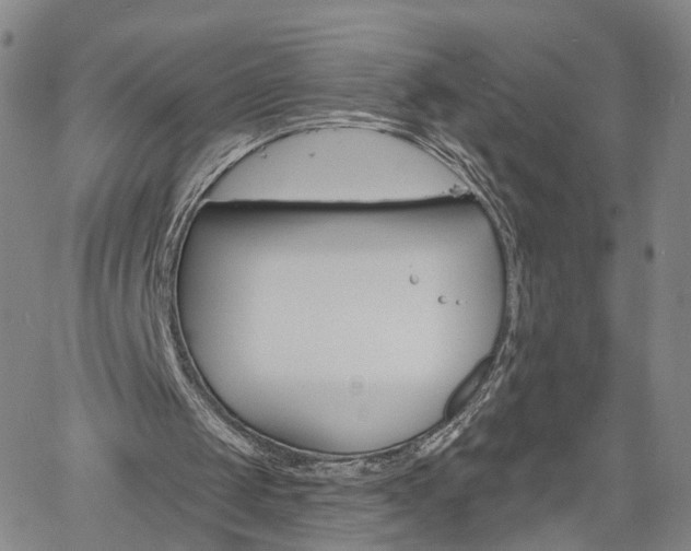 X0000061730049200512021026