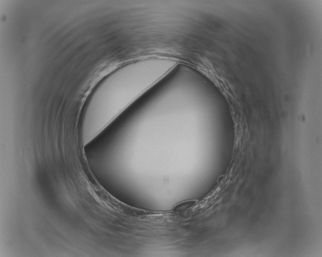 X0000061730050200512021026