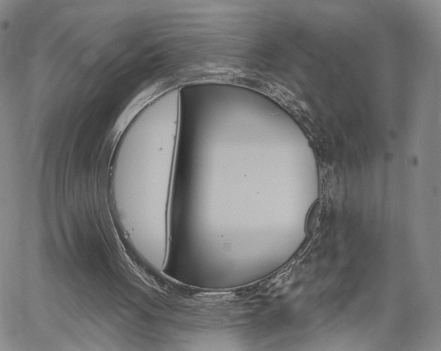 X0000061730051200512021026