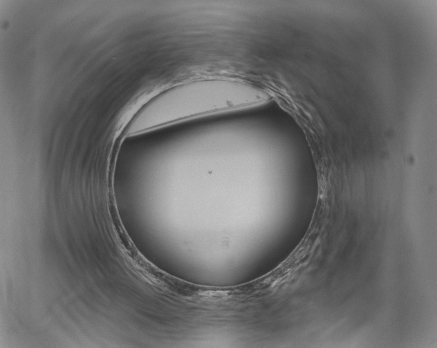 X0000061730052200512021026