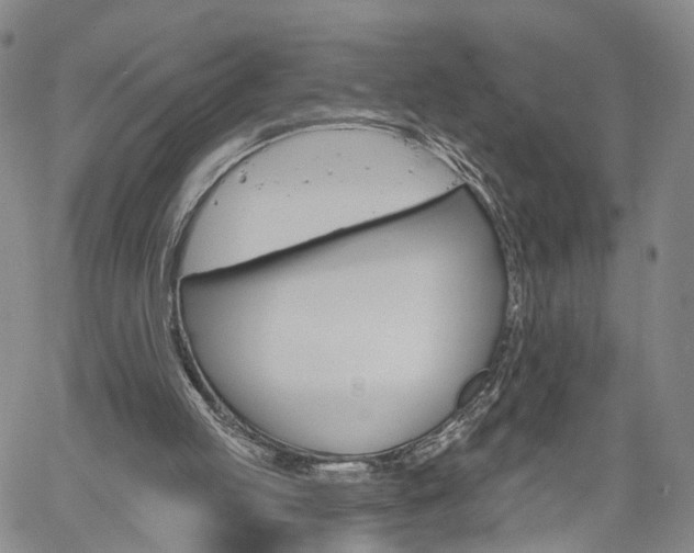 X0000061730053200512021026