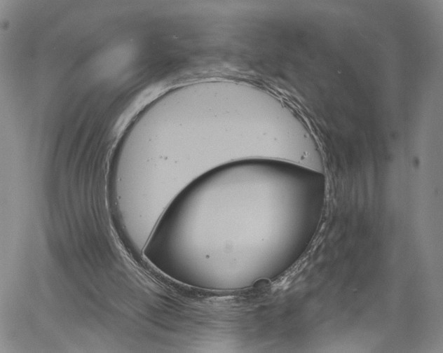 X0000061730054200512021026