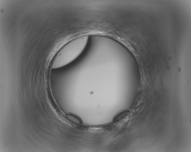 X0000061730055200512021026