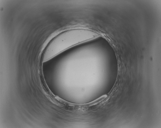 X0000061730056200512021026