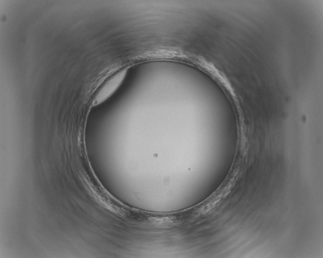 X0000061730057200512021026