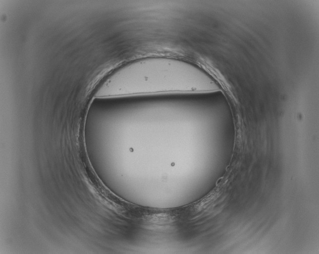 X0000061730058200512021026