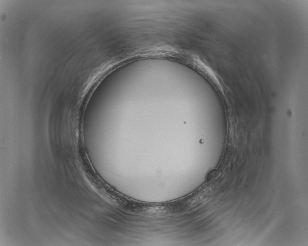 X0000061730059200512021026