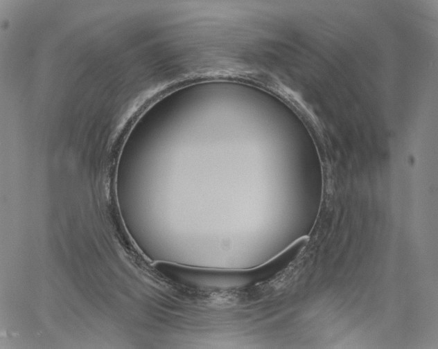 X0000061730060200512021026