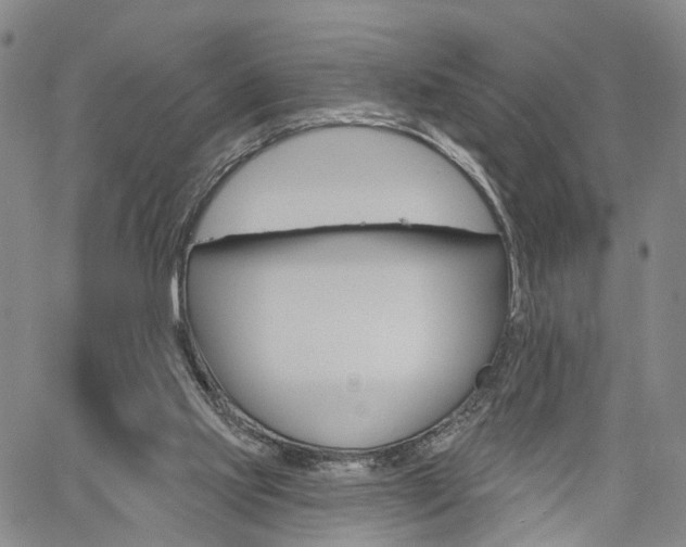 X0000061730061200512021026